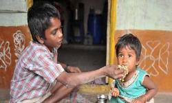 विश्व के कुल कुपोषित बच्चों में से पचास फीसदी केवल भारत में: रिपोर्ट